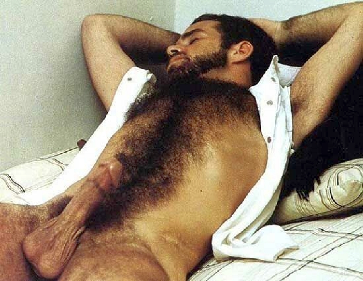 bears and very hairy men — 18
