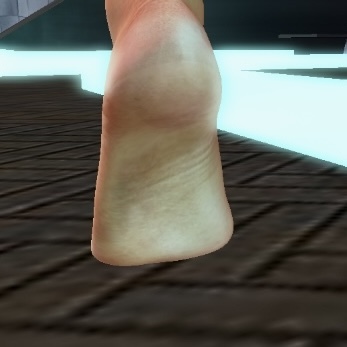 Muscles — 9