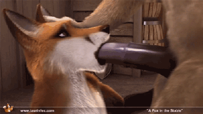 Gay Furry :) — 26