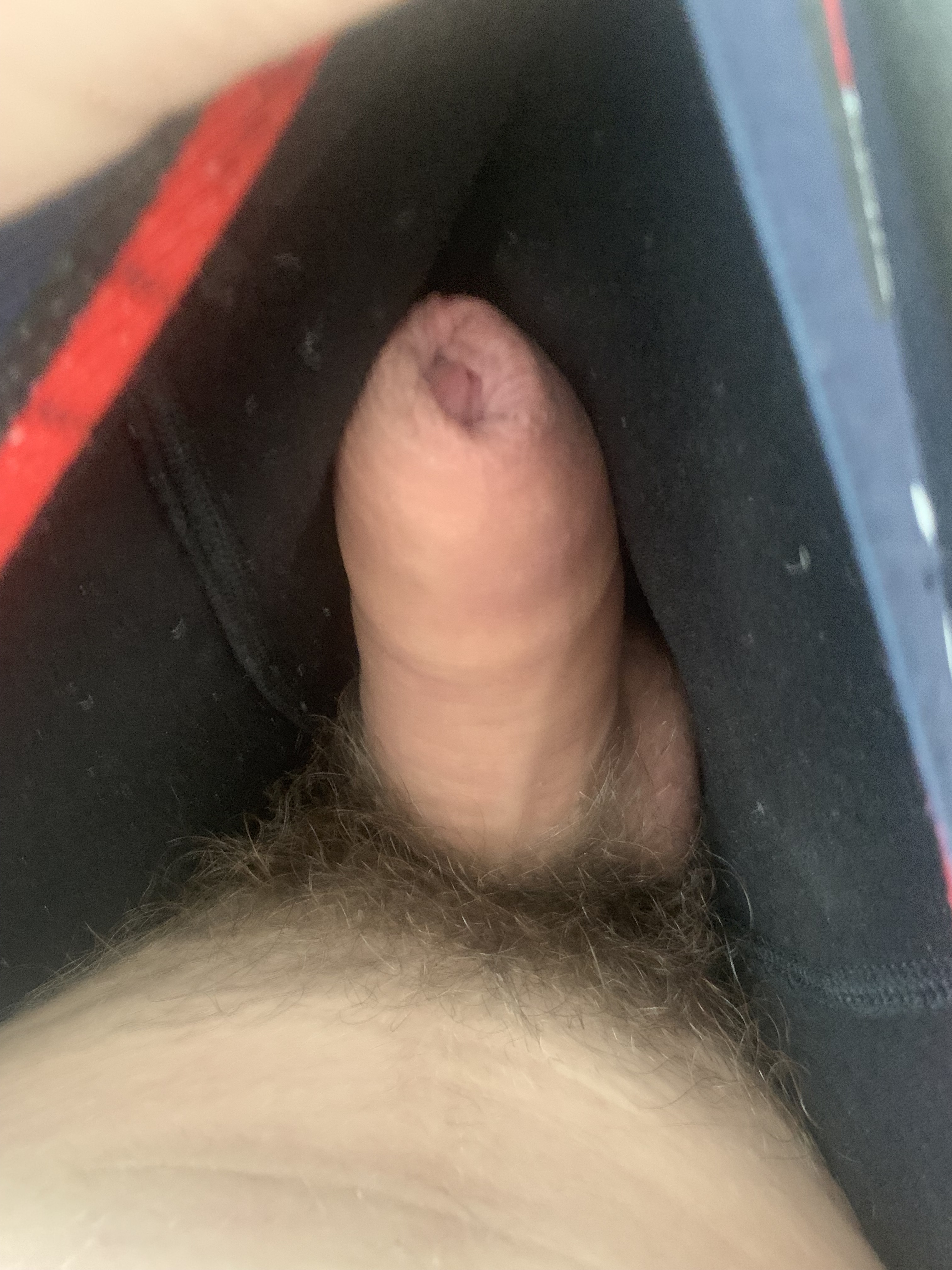 Uncut penis — 9