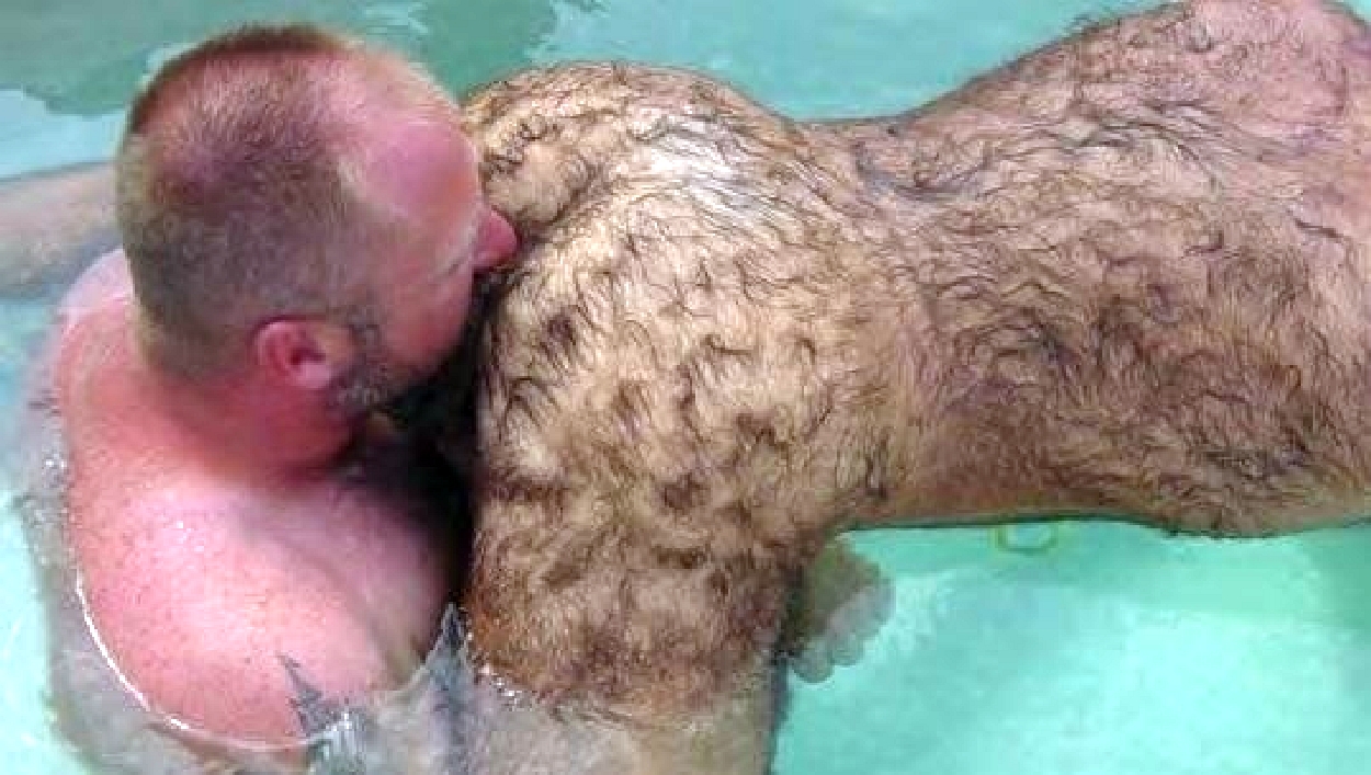 bears and very hairy men — 6